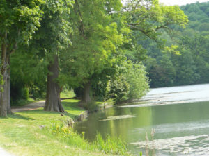 lieu de drague hauts de seine en pleine nature