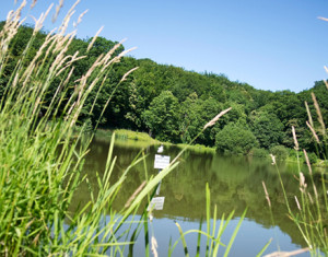 lieux de rencontre dans les parcs et jardins des hauts de seine